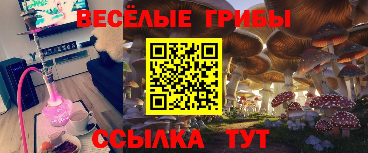 Тамбов  Псилоцибиновые грибы Psilocybe  Вход с VPN  Псилоцибиновые грибы Psilocybine cubensis 